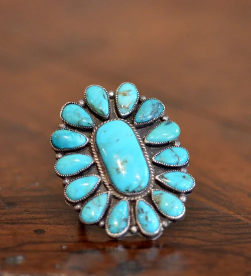 MVB cluster Ring