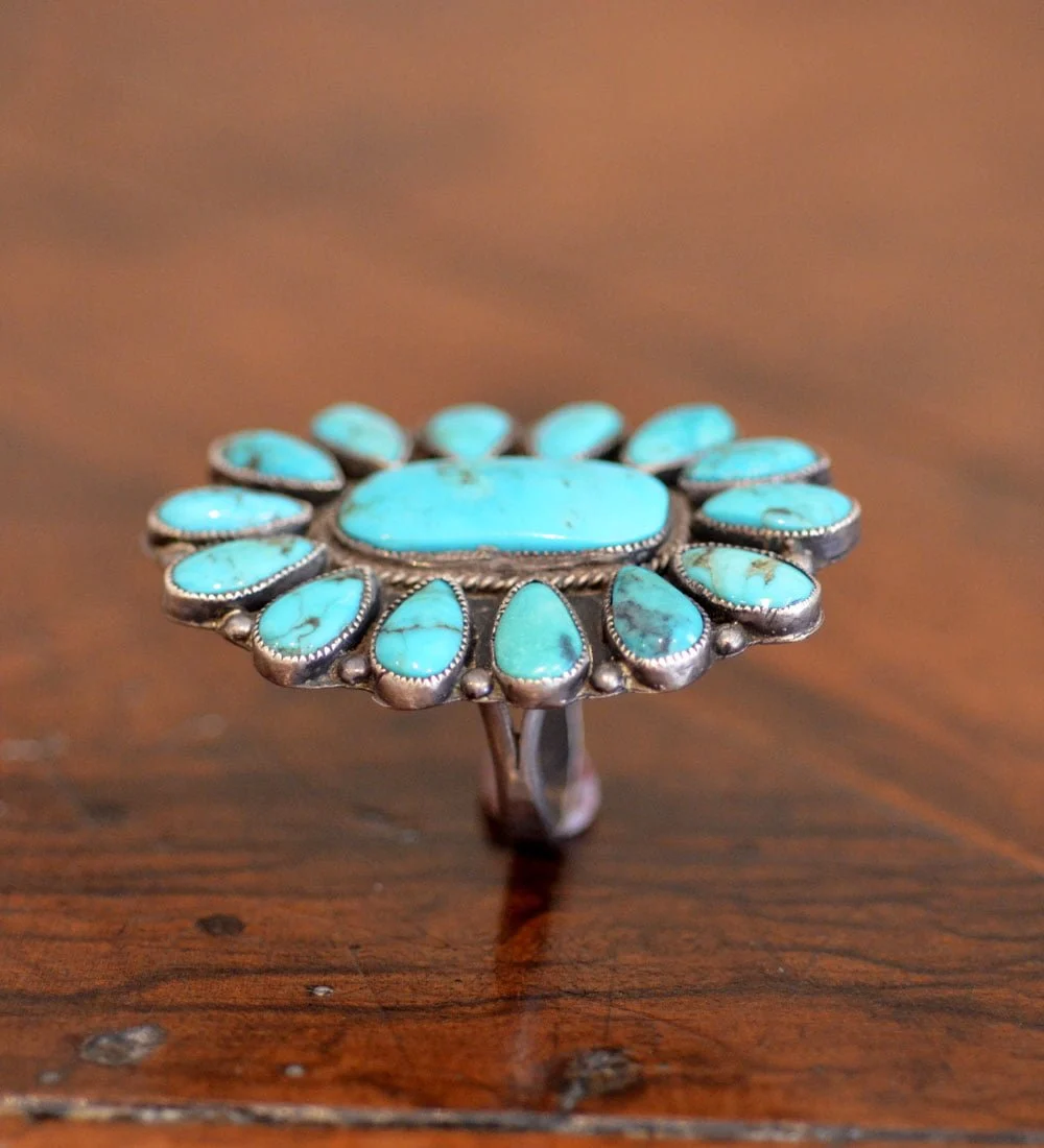 MVB cluster Ring