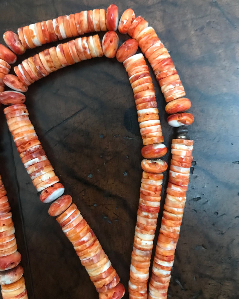 Valarie Calabaza Shell Necklace