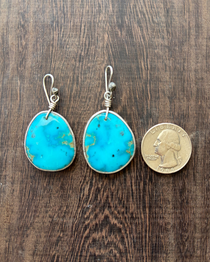 Blue Gem Turquoise Earrings