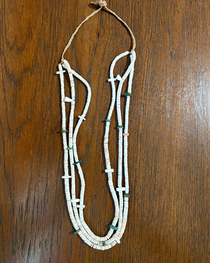 Clam Shell and Turquoise Heishi Necklace