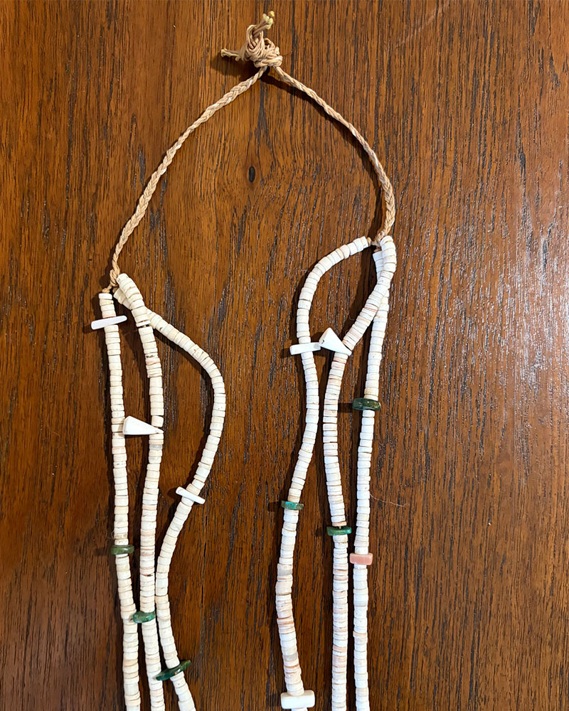 Clam Shell and Turquoise Heishi Necklace