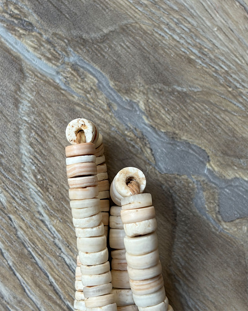 Clam Shell and Turquoise Heishi Necklace